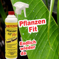 KEYZERS® Pflanzen Fit Aroma Therapie 500ml