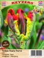 Papageien Tulpe Rasta Parrot 10 Stück