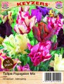 Papageien Tulpen Mix 15 Stück