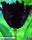 Tulpe Black Parrot 7 Stück