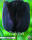 Keyzers Tulpe Queen of Night 7 Stück