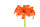 Amaryllis Rilona 1 Stück Gr. 42/44