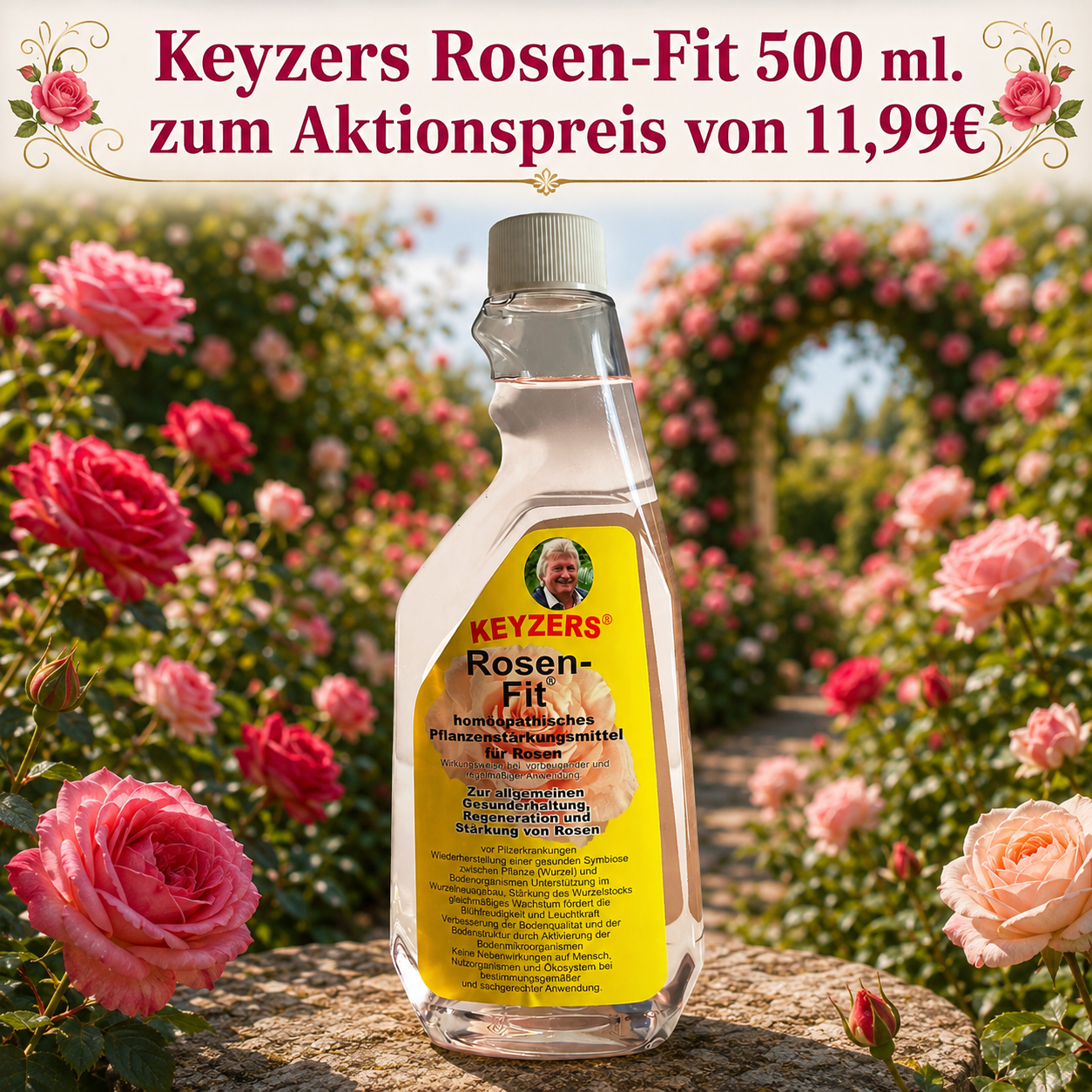 Rosen-FitAktionspreis.png